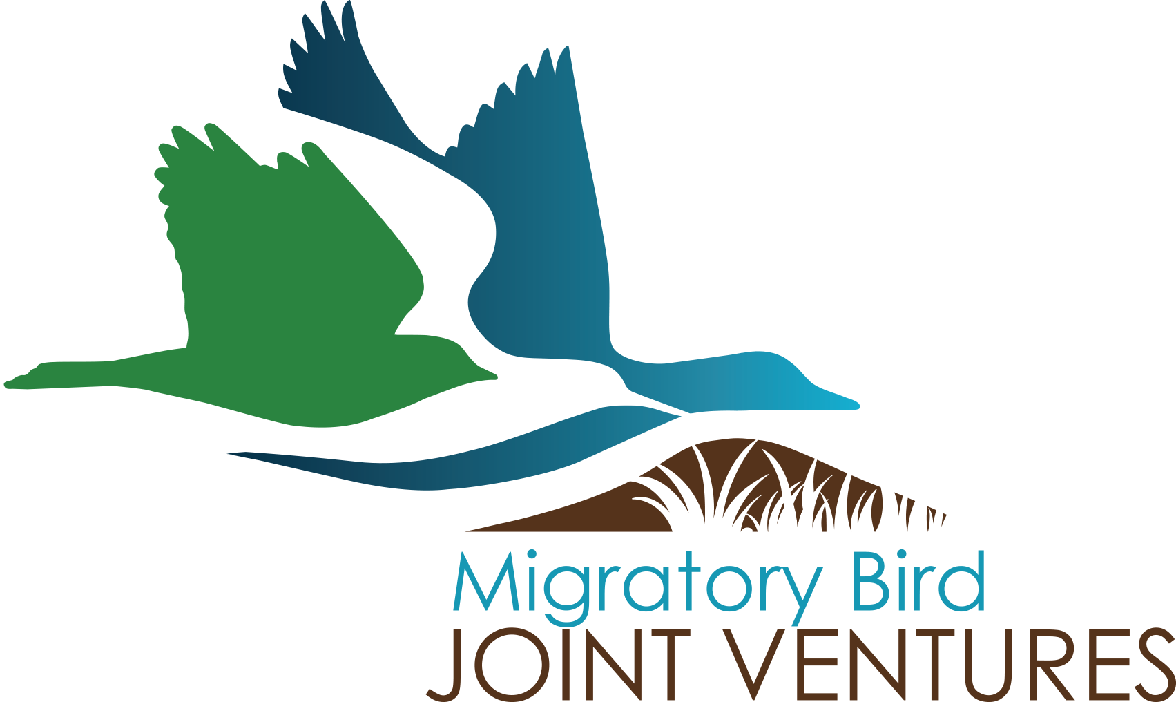 Lower Resolution Png - Migratory Bird Joint Ventures (1703x1016), Png Download