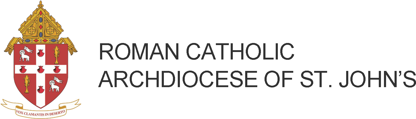 Roman Catholic Archdiocese Of St - Zoledronic Acid (1434x400), Png Download
