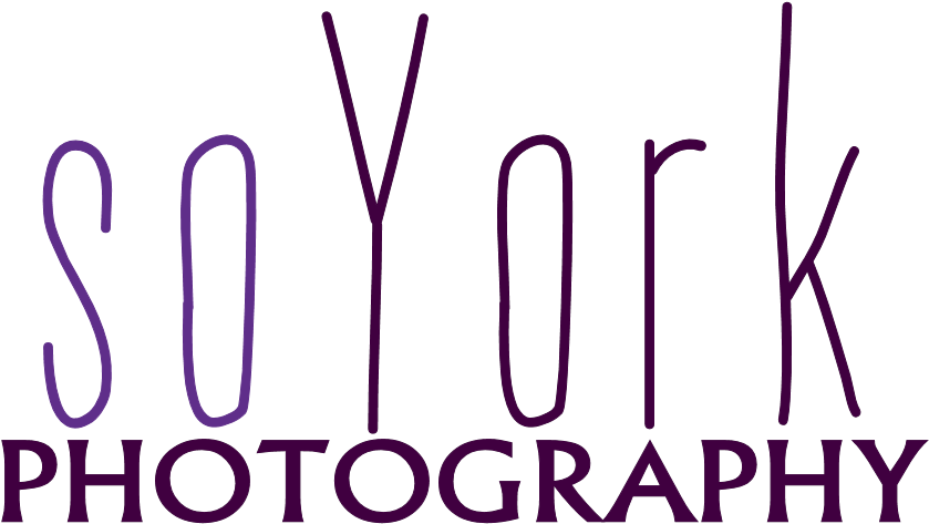 Soyork Photography - Vancouver (976x568), Png Download