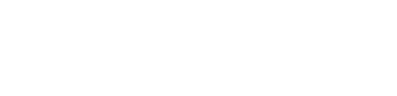 Roanoke Valley Logo - Poster (1537x375), Png Download