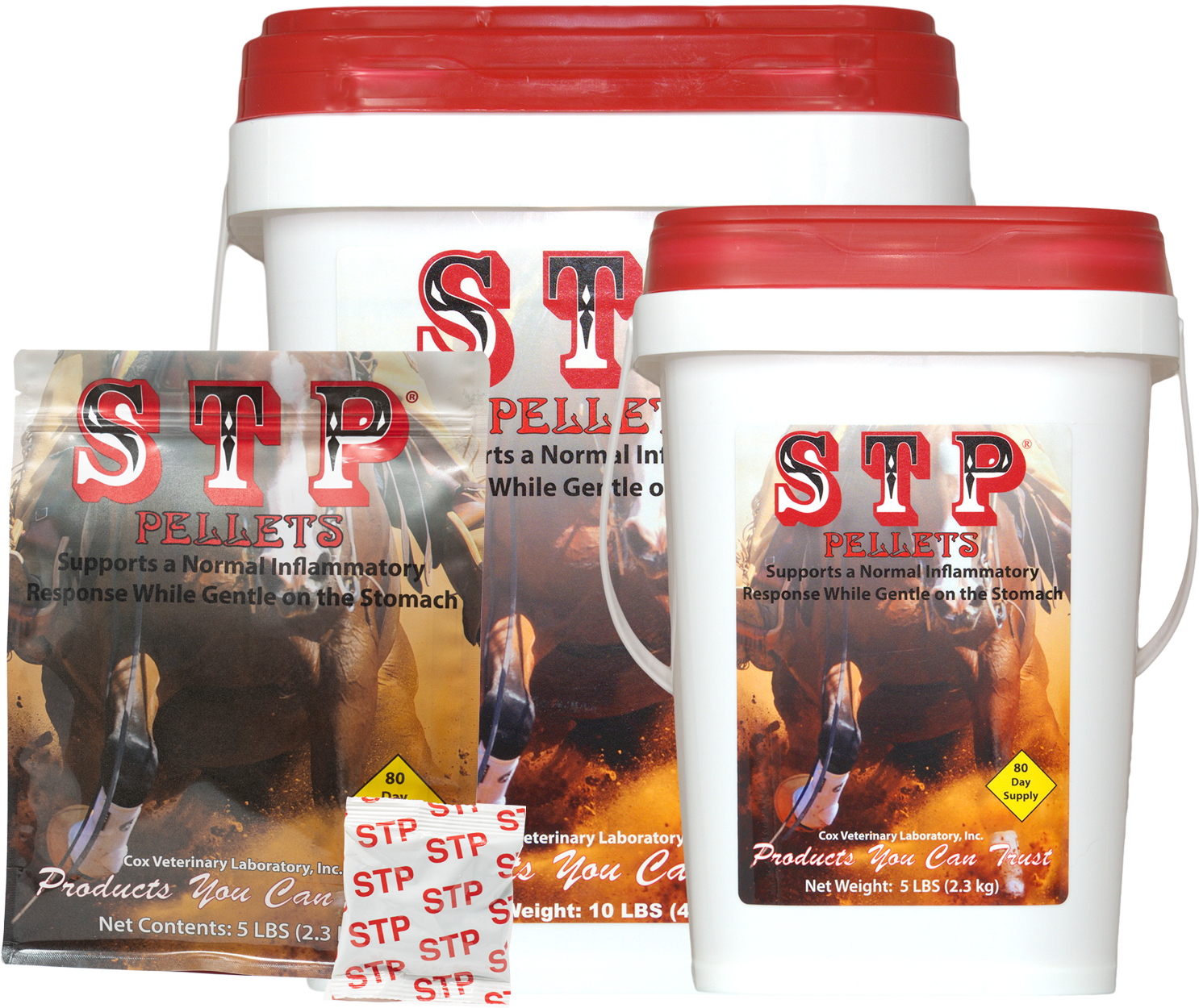 Home - Cox Veterinary Lab (1500x1500), Png Download