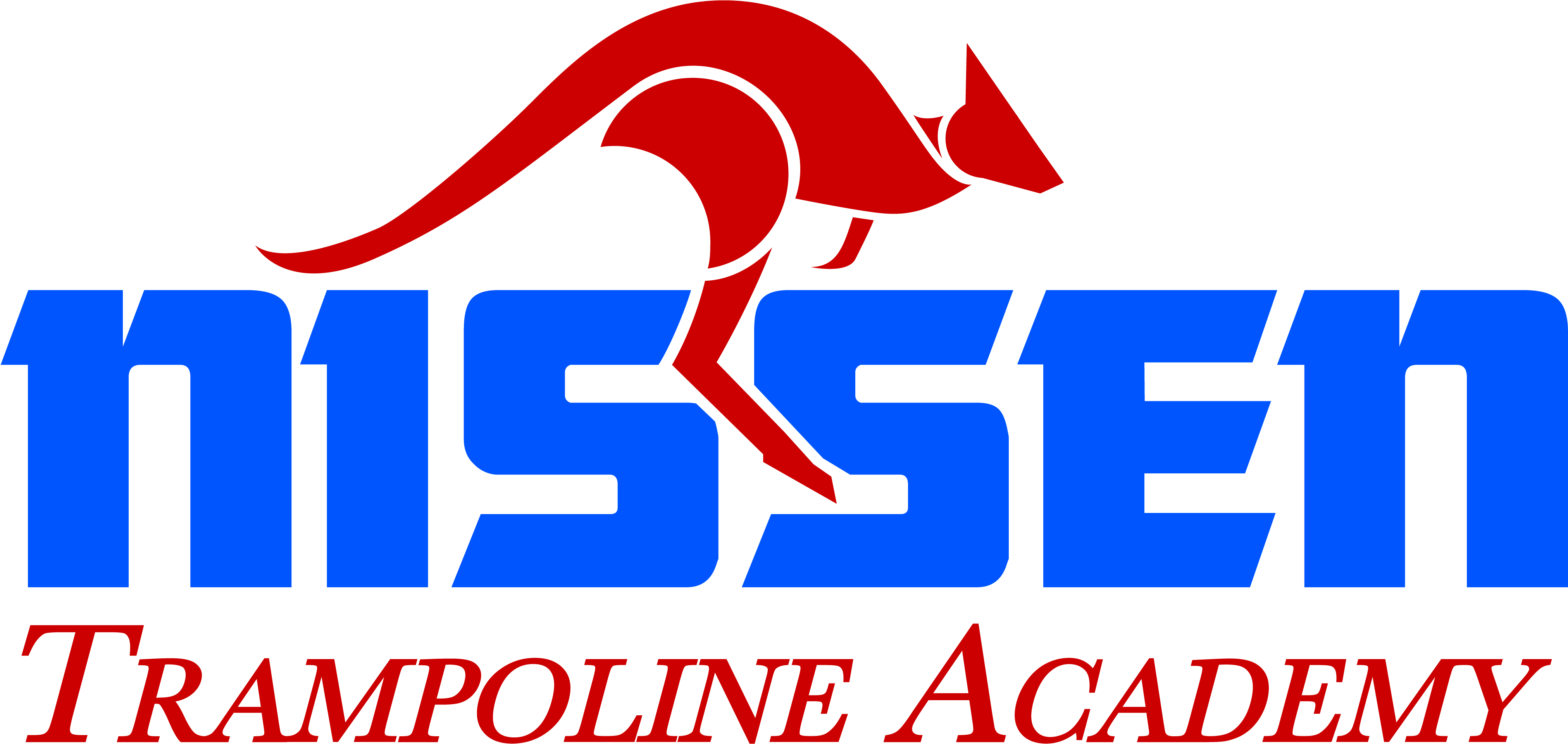 Nissen Trampoline Vintage Logo Shirt - Portable Network Graphics (4113x2004), Png Download