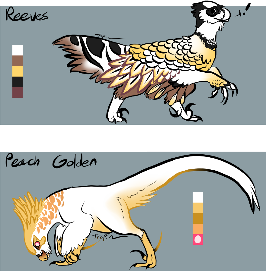 [adopts] Pheasant Raptors Set - Dog Catches Something (1000x1000), Png Download