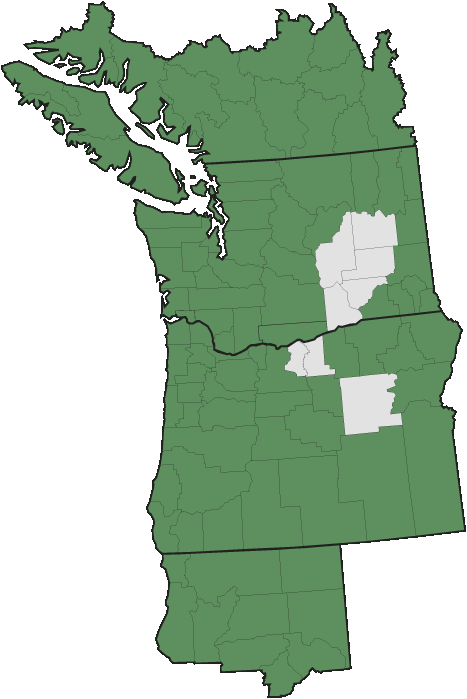 More Information - - Pacific Northwest (467x699), Png Download