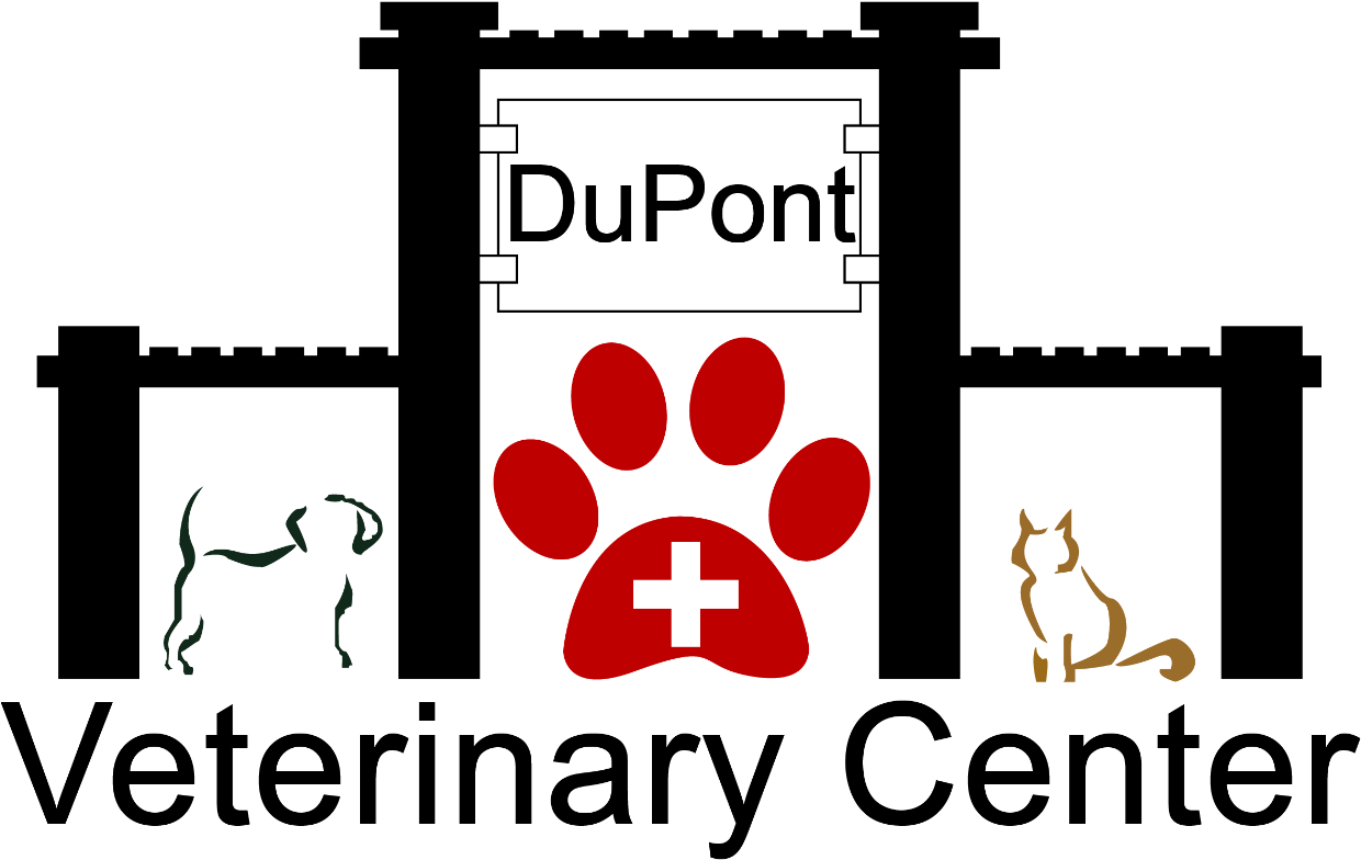 Dupont Logo (1240x800), Png Download