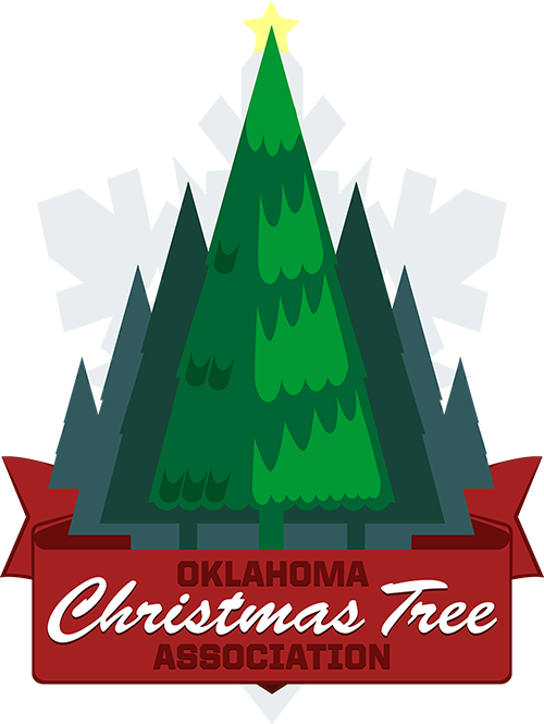 Here's How You Find Us - Isaac Shepard / Christmas Piano (500x665), Png Download