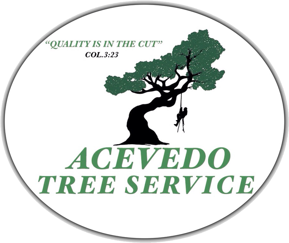 Contact Acevedo Tree - Kensington And Chelsea Review (960x810), Png Download