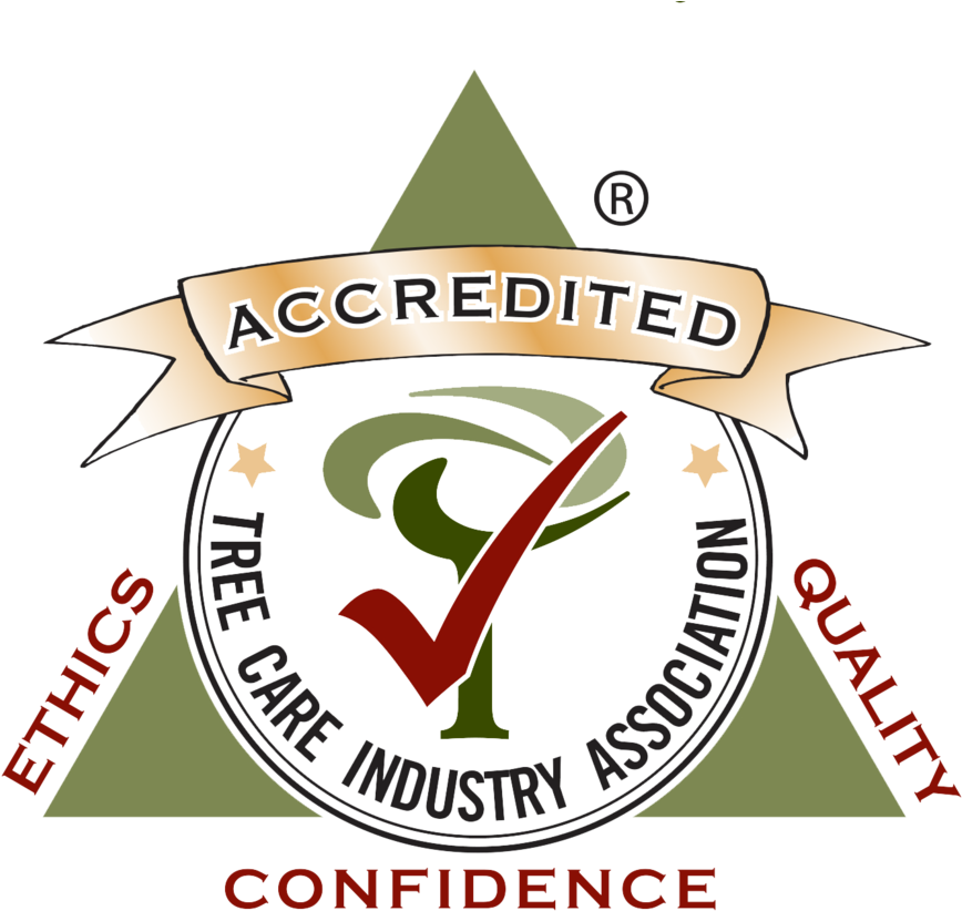 Tcia Accredited (1000x858), Png Download