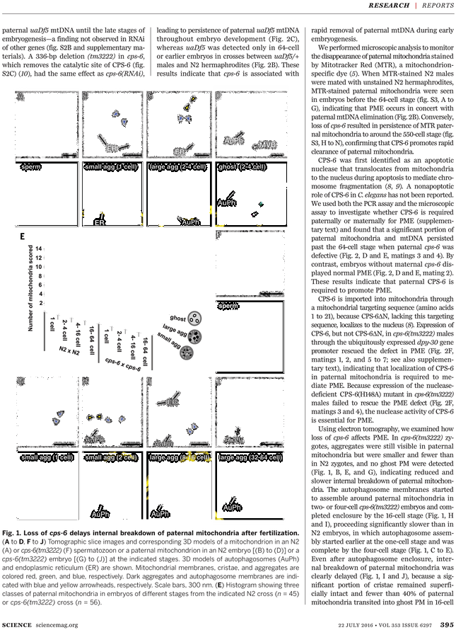 Untitled, Illustration 55, In The Book Les Œuvres Burlesque (729x929), Png Download