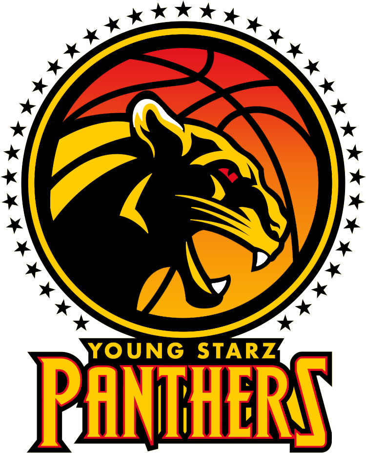 Young Starz Panthers - Made In Usa (1920x1200), Png Download