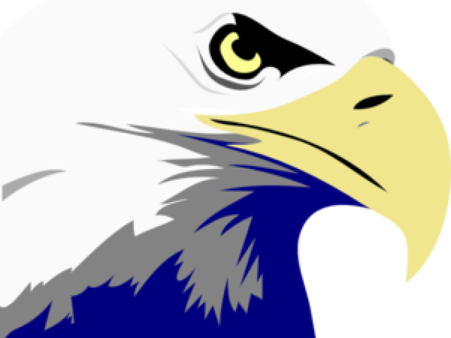 Cartoon Eagle Clipart - Bald Eagle Clipart (640x480), Png Download