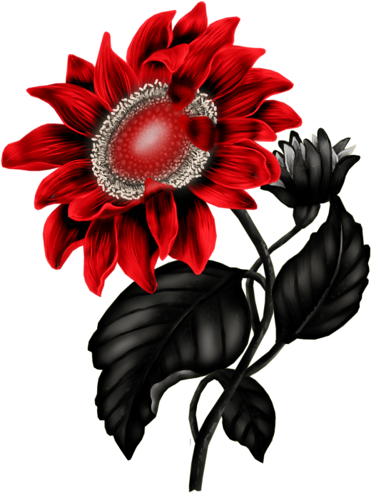Sunflower Png, Sunflower Clipart, Art Flowers, Flower - Flower (541x700), Png Download