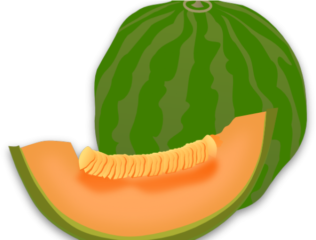 Cantaloupe Clipart Transparent - Clip Art (640x480), Png Download