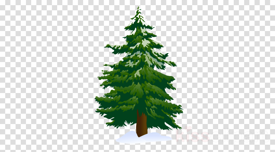 Pine Tree Clipart Scots Pine Conifers Clip Art - Spruce Tree Clip Art (900x500), Png Download