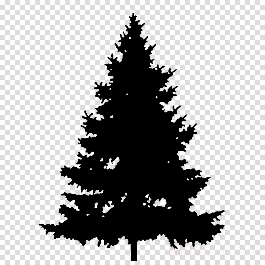 Pine Tree Clipart Pine Clip Art - Green Pine Tree Silhouette (900x900), Png Download