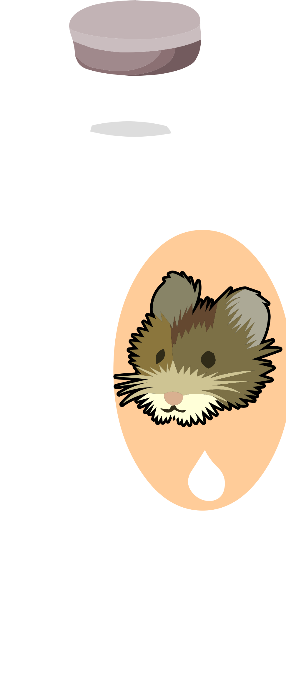 Mouse Clipart Vole - Clip Art (1012x2400), Png Download