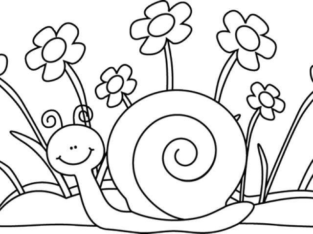 Black And White Flower Clipart - Clip Art (640x480), Png Download