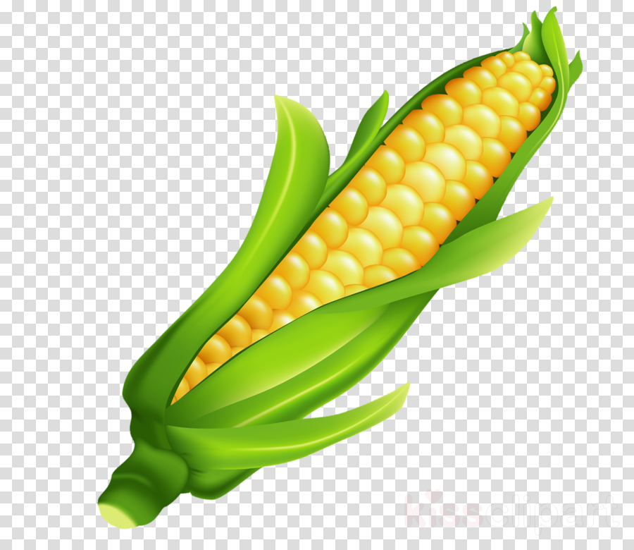 Corns Food Clipart (900x780), Png Download