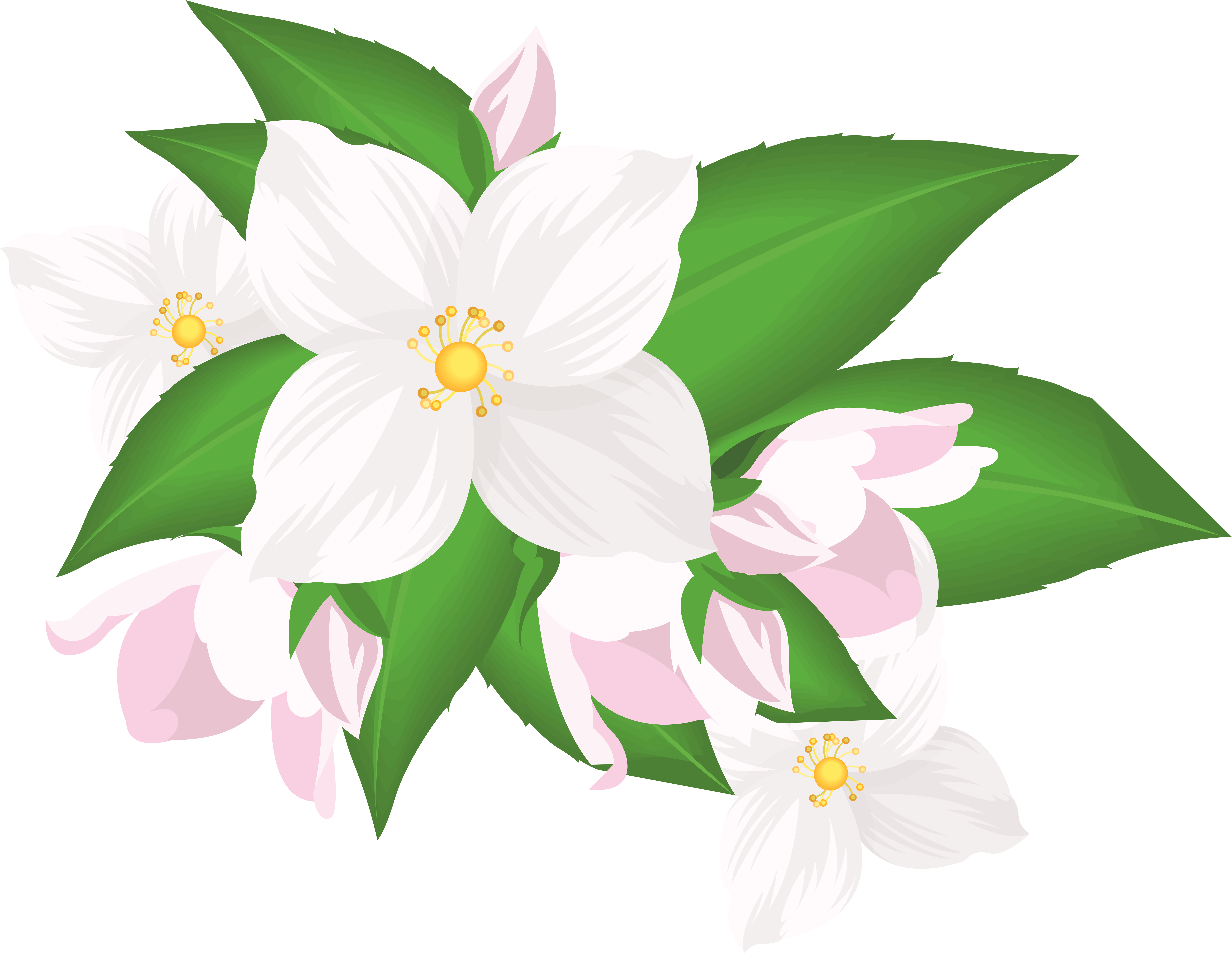 White Flower Clipart Png (8000x6216), Png Download