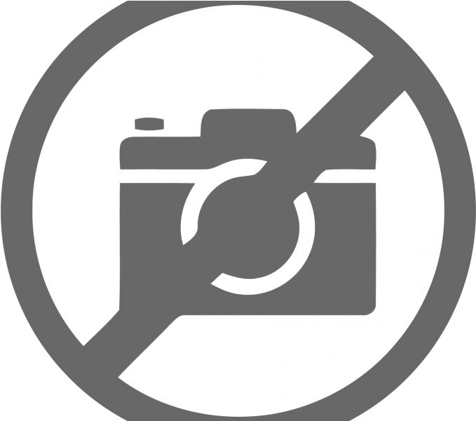 Roses Platter (800x600), Png Download