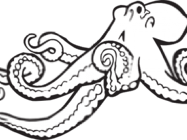 Octopus Clipart Glass - Octopus Drawing Black And White (640x480), Png Download
