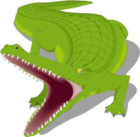 Banner Freeuse Library Honey Island Alligator Crocodile - Alligator Clip Art (842x596), Png Download
