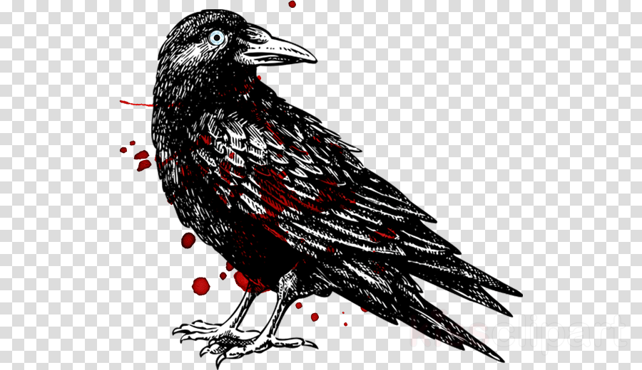 Silhouette Halloween Mason Jars Clipart Halloween Clip - Raven Shower Curtain (900x520), Png Download