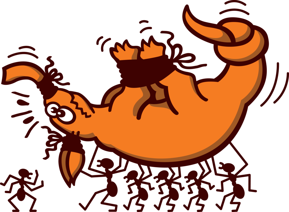 Ants Carrying An Projectools - 4 Bilder 1 Wort 2231 (1000x736), Png Download