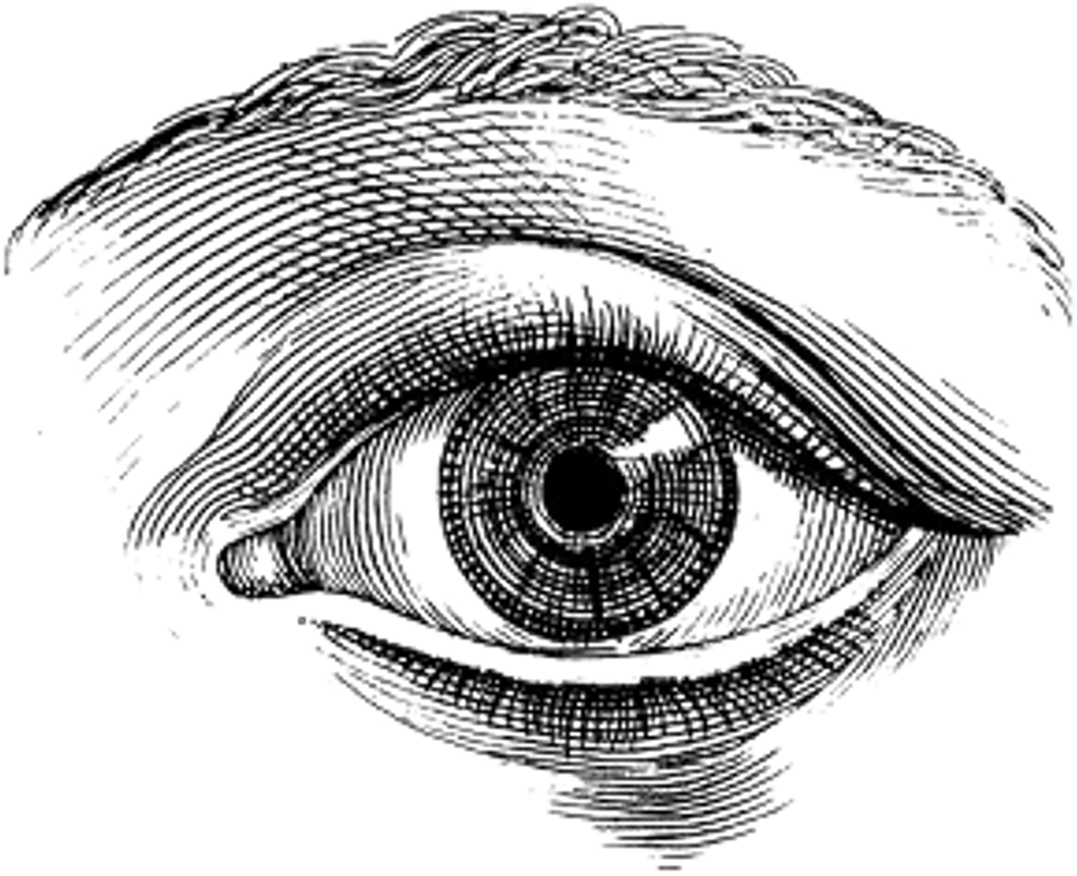 Eye Vintage Illustration (1024x1024), Png Download