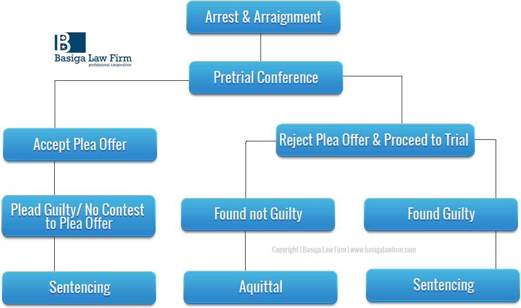 Outline Of The Michigan Criminal Process - Criminal Process (1150x750), Png Download
