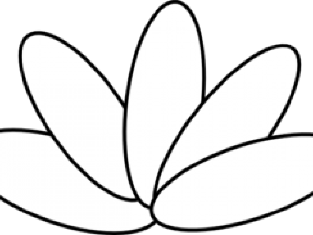 Feather Clipart Turkey Feather - Feather (640x480), Png Download