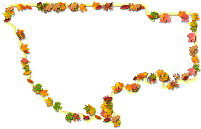 A Yellow And Orange Outline Map Of Wakulla With Fall - Floral Design (768x491), Png Download