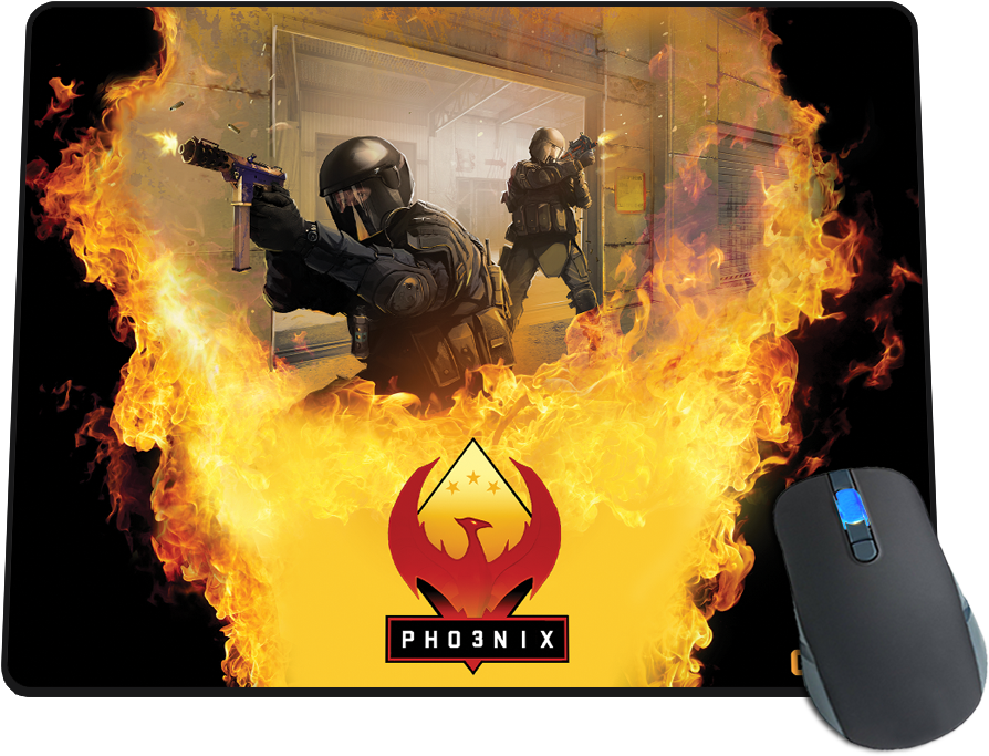 Phoenix Program (1000x1000), Png Download