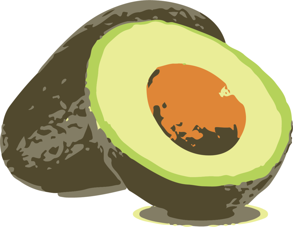 Avocado - Illustration (1000x773), Png Download