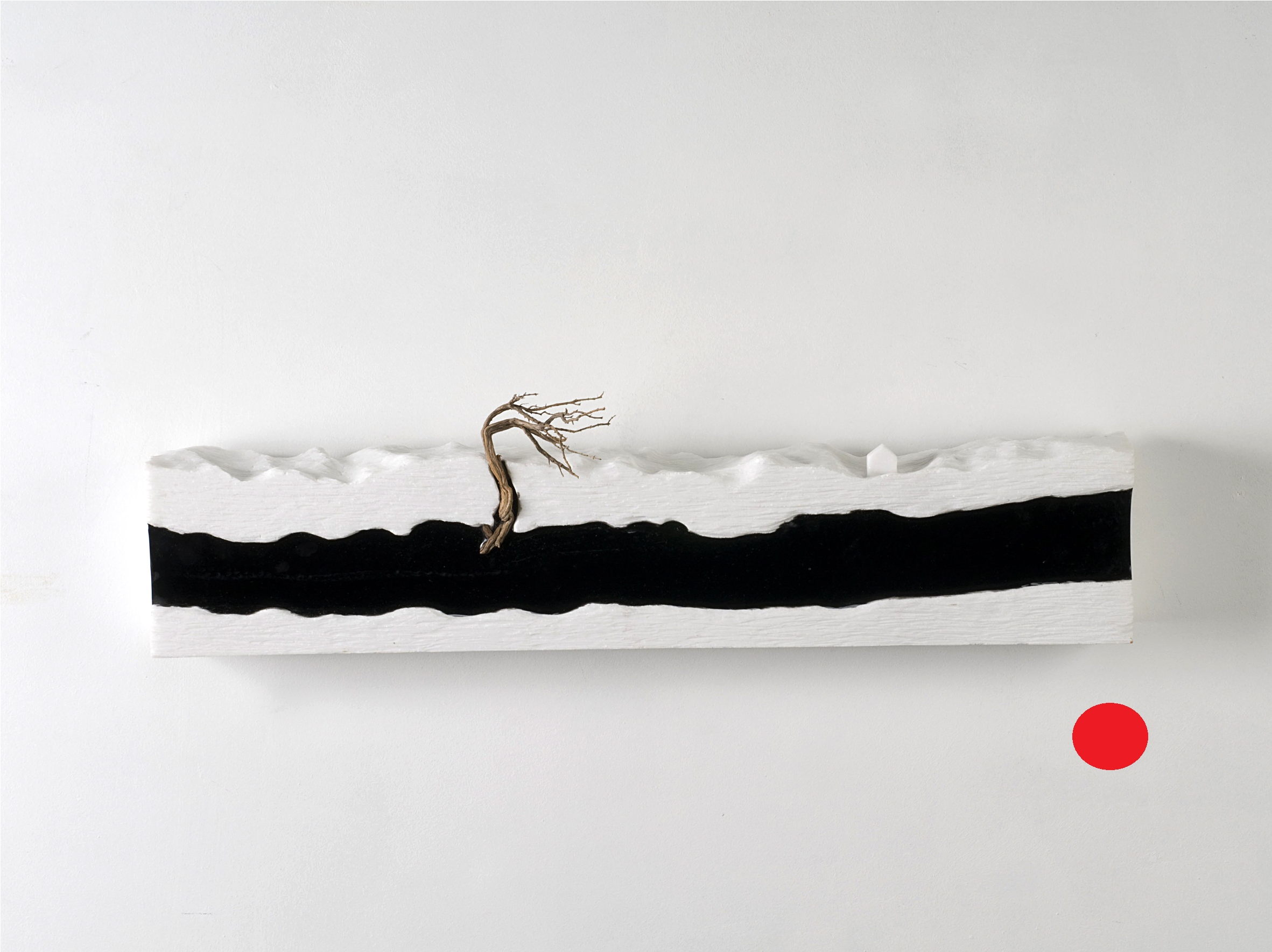 Magma ” / 1547 Carmen Baena - Bald Eagle (2819x1772), Png Download