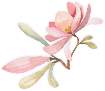 Autologus Reconstruction - Chinese Magnolia (416x360), Png Download