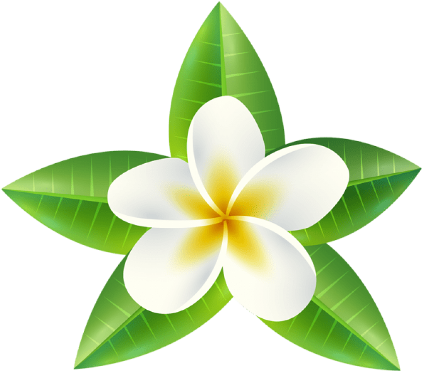 Tropical Flower Png Clip Art Imageu200b Gallery Yopriceville - Pretty Flower Tropical Flower Clipart (600x527), Png Download