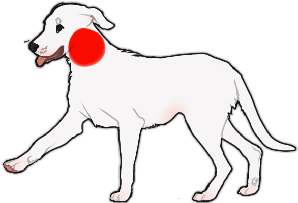 Any Scars Must Be Flesh Colored, And Semi Realistic - Ancient Dog Breeds (600x400), Png Download