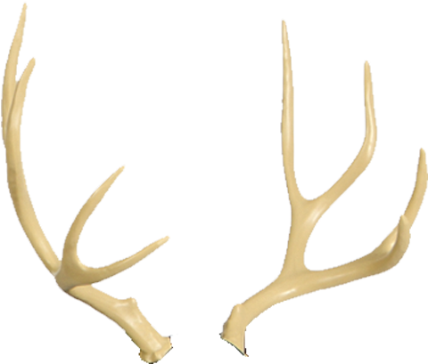 Mule Deer Delta Mckenzie Clip Free Download - Antlers Transparent (600x600), Png Download