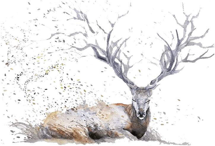 Deer Watercolor Painting Drawing Illustration Cartoon - Expressive Watercolor Animal Paintings (800x491), Png Download