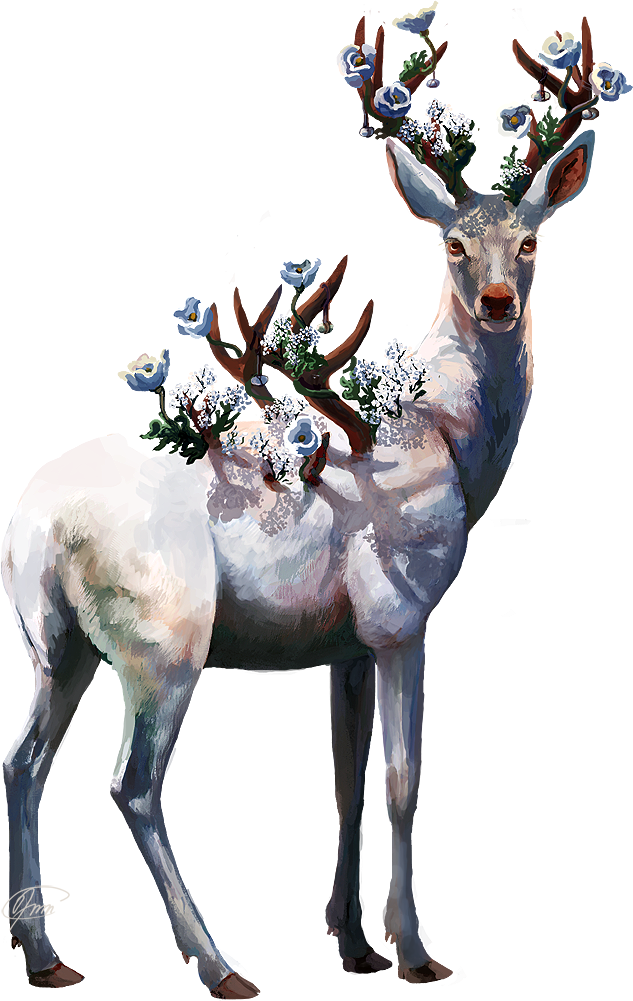 Drawing Antlers Deer Antler - Ciervo Vector (633x1001), Png Download