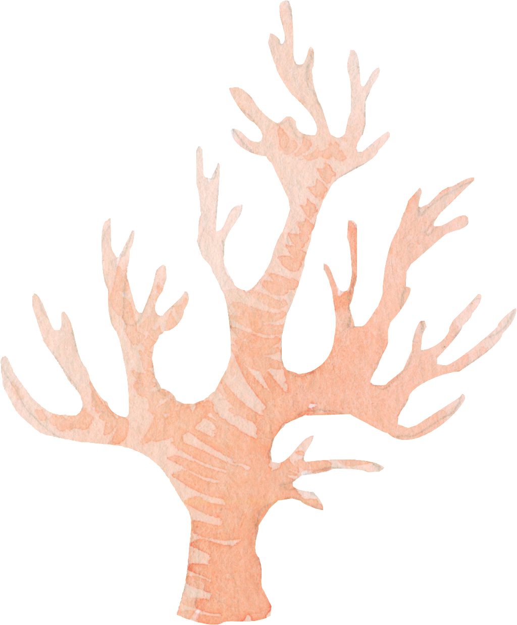 Portable Network Graphics (1024x1239), Png Download