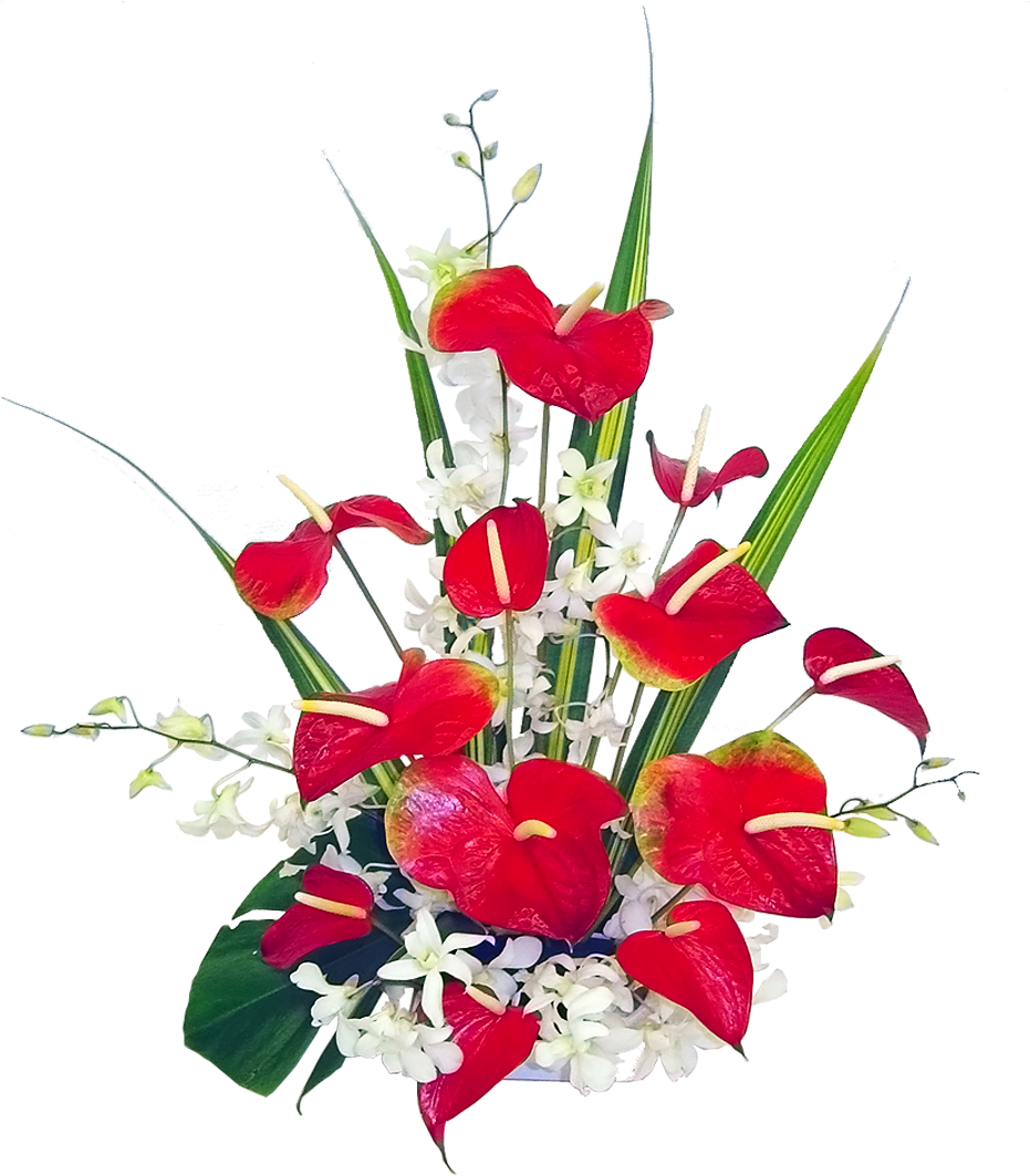 95 Previous Next - Multi Ani Sf Adrian (1200x1200), Png Download