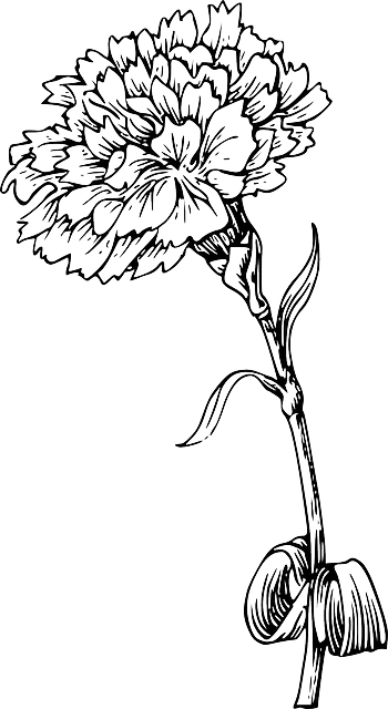 Flower Outline Png - Marigold Flower Black And White (350x640), Png Download