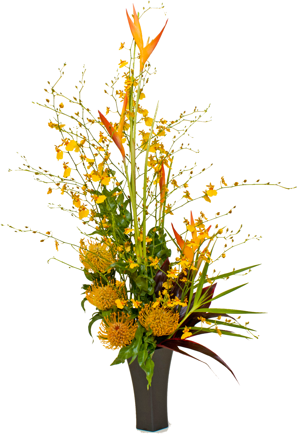 95 Previous Next - Flower (1343x1600), Png Download