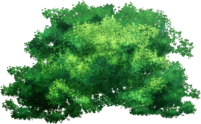 Tree Top Png Png - Jungle Terrain Wargaming (740x546), Png Download