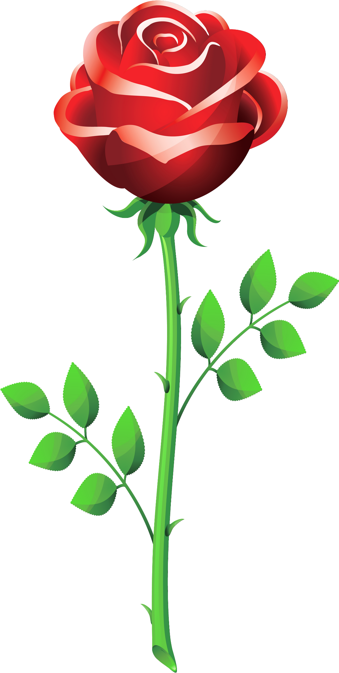 Rose Outline Clipart Panda - Rose Flower Vector Png (1223x2395), Png Download