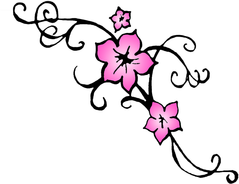 Download 3 Cherry Blossoms Drawing Png Image With No Background Pngkey Com