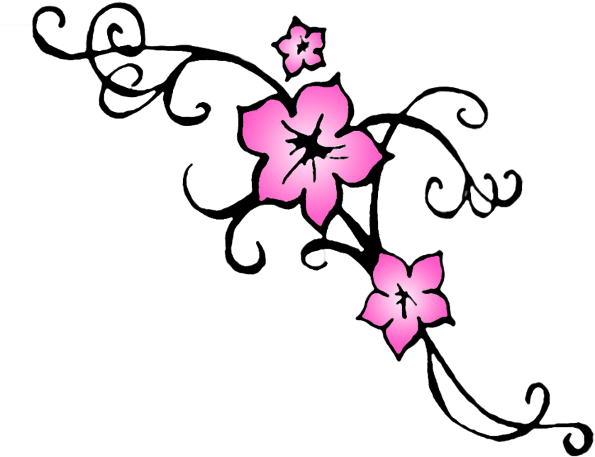 3 Cherry Blossoms Drawing (900x787), Png Download