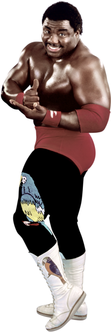 Koko B - Ware - Koko B Ware Png (320x728), Png Download
